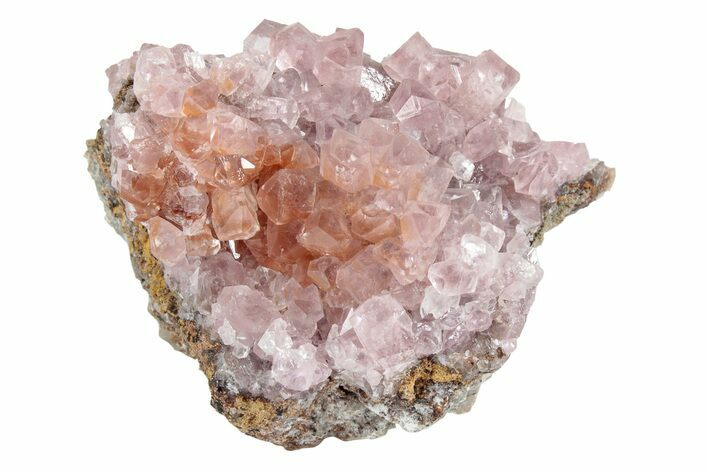 Cobaltoan Calcite Crystal Cluster - Bou Azzer, Morocco #238806